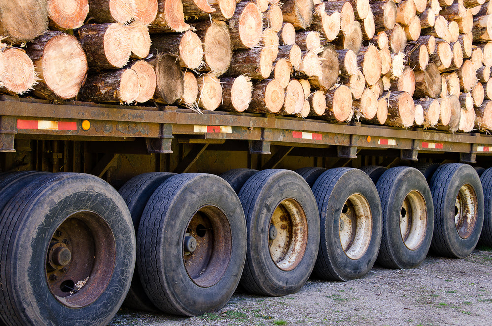 Finland's wood imports increased by 5% in December