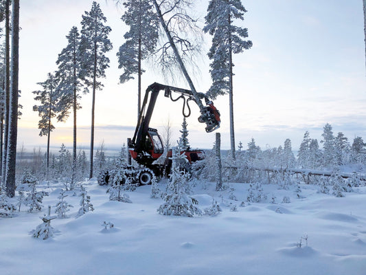 Sweden's notified area for felling decreased by 21% in January