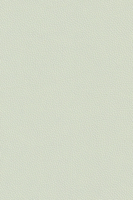 PN31