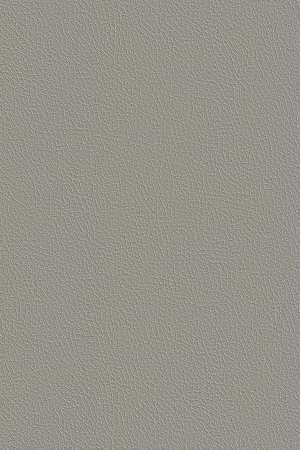 PN33