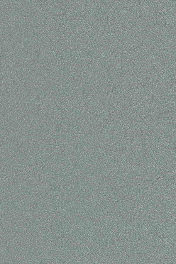 PN34