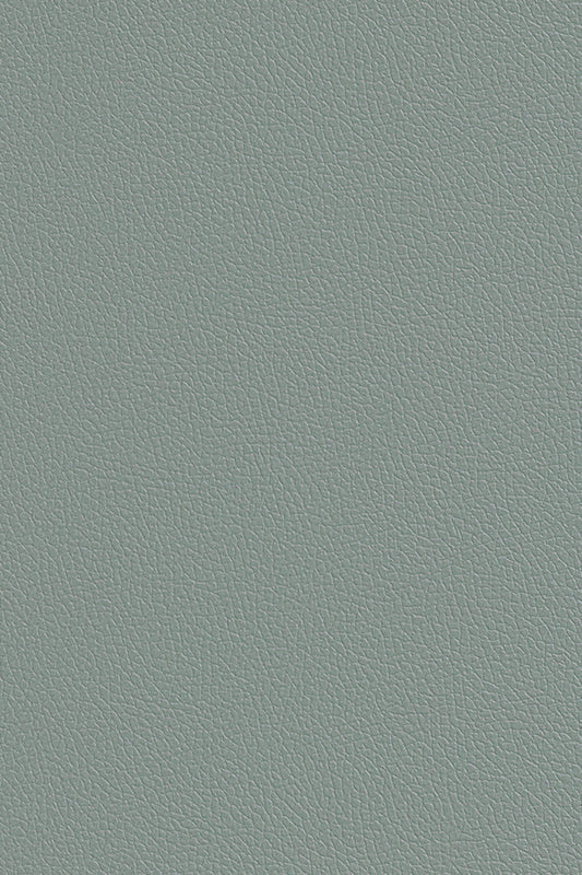PN34